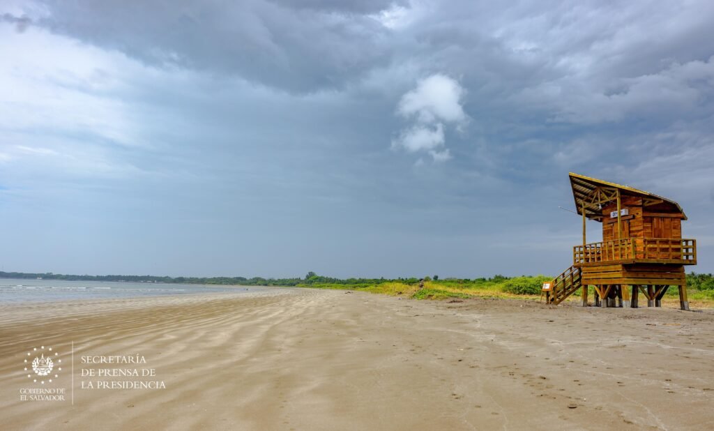 WhatsApp Image 2025 03 30 at 1.09.38 PM 1