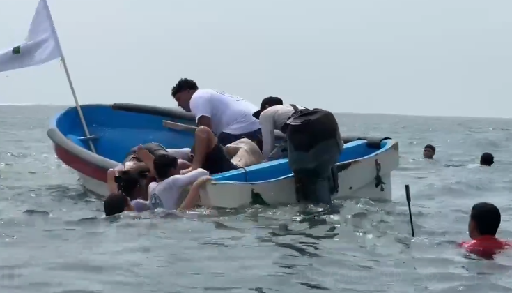 capture-20250330-125955 capture 20250330 125955