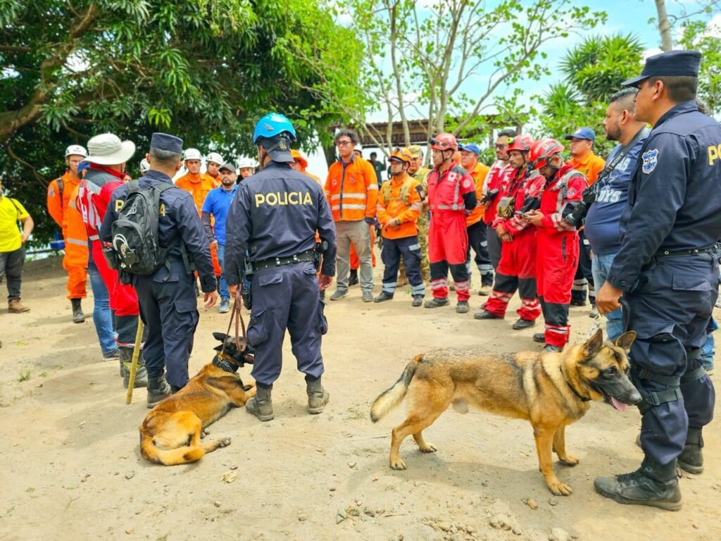 491762736 1105093514982537 9009459853054838391 n