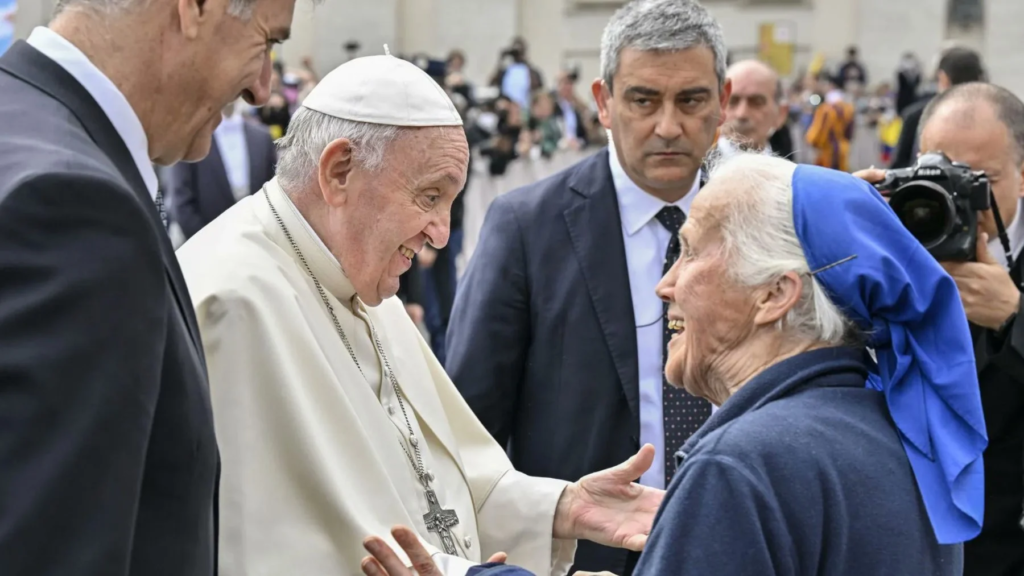 55e5d5fd 42c8 4e55 9fda b8c92fd62640