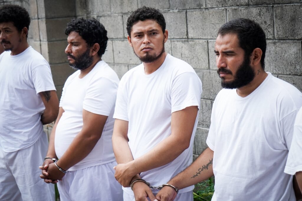 WhatsApp Image 2025 04 23 at 12.44.463