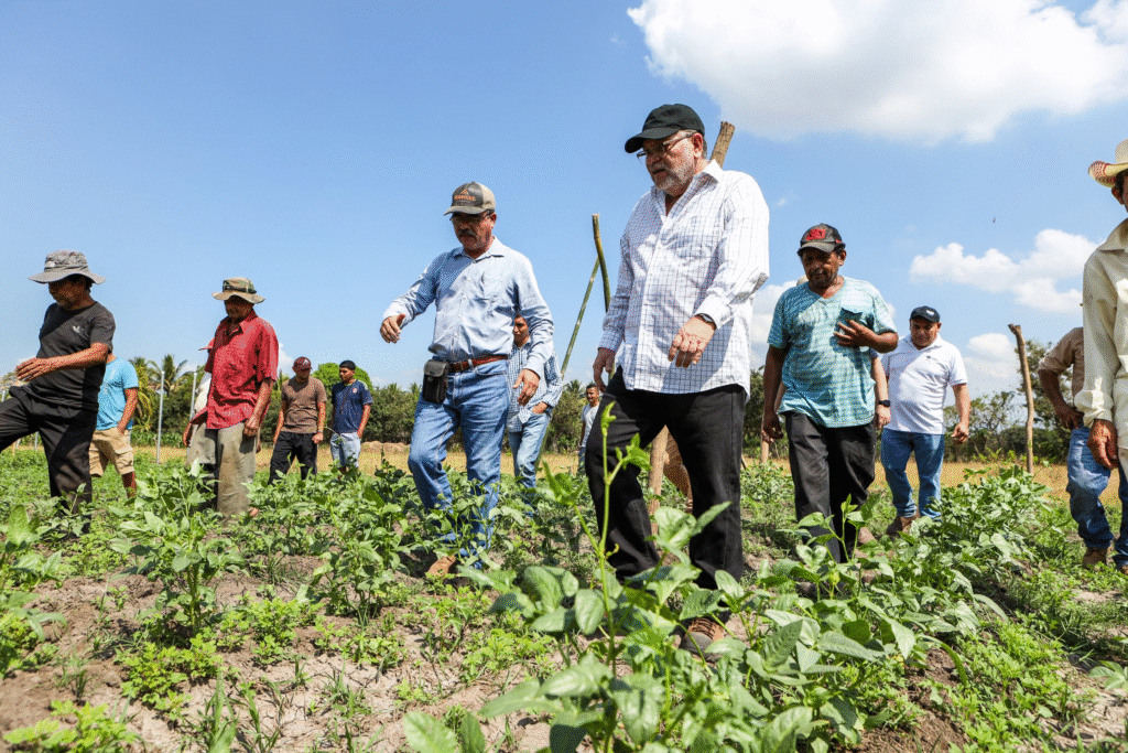 CCR audita al MAG por manejo de fondos públicos en programas agropecuarios 2 image 13