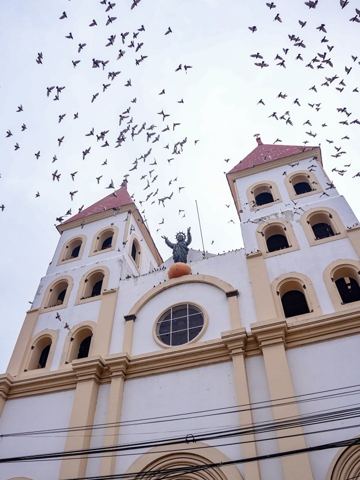 495090028 997943635782121 796092770238359599 n