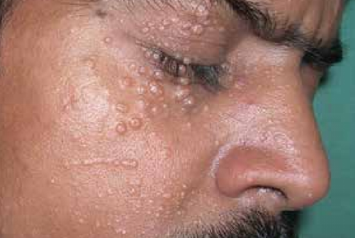 668028bfded09e104d2d5c1d mc2