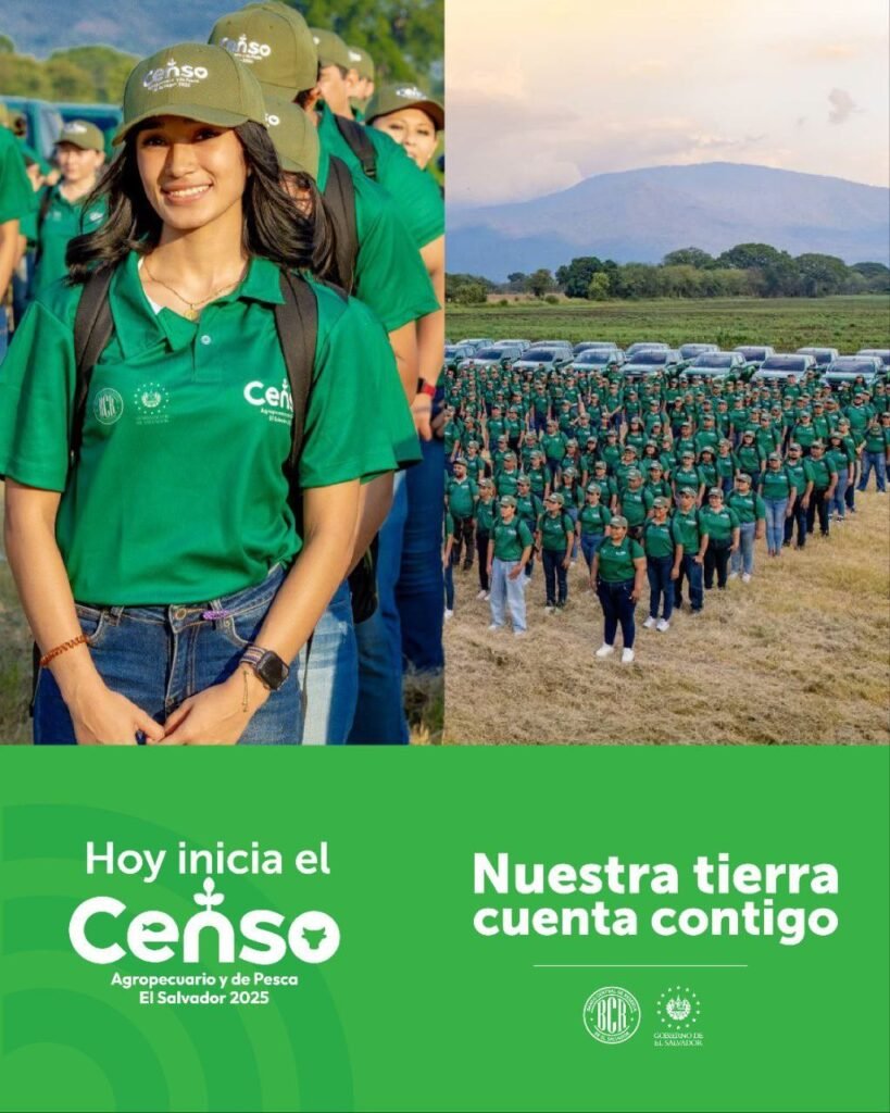 Imagen de WhatsApp 2025 05 02 a las 16.36.09 07f06231