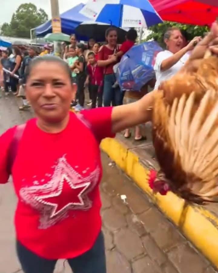 Gallinas VIVAS son lanzadas desde carrosa en el Desfile de Correos en Caluco, Sonsonate Este. 1 511137092 1226559076147614 8218749202176875956 n