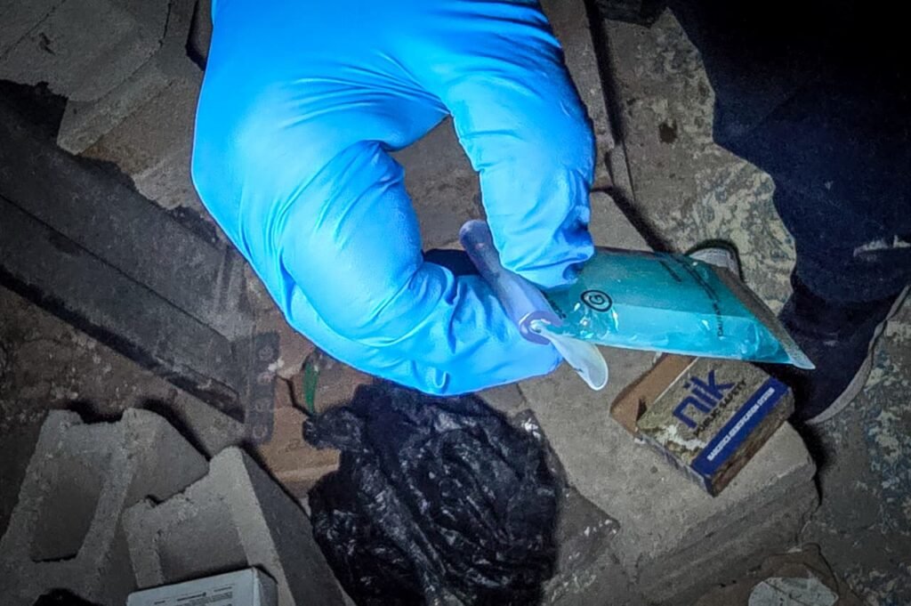 558830095 1131476985829835 5736821338948858783 n