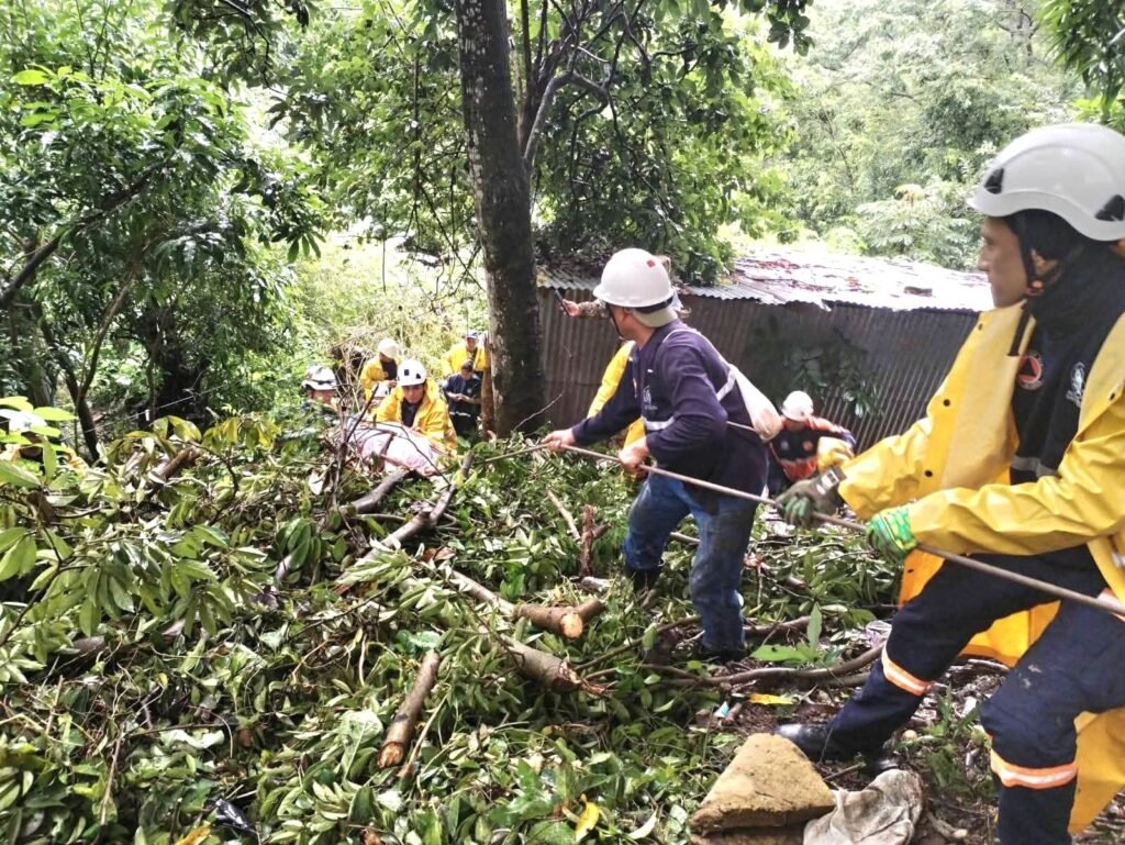 558869378 1392132086249123 2483405391374635865 n