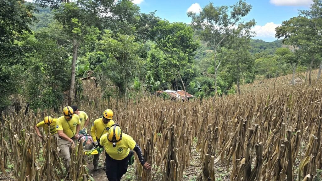 559670075 1397744892354509 618614678208817452 n