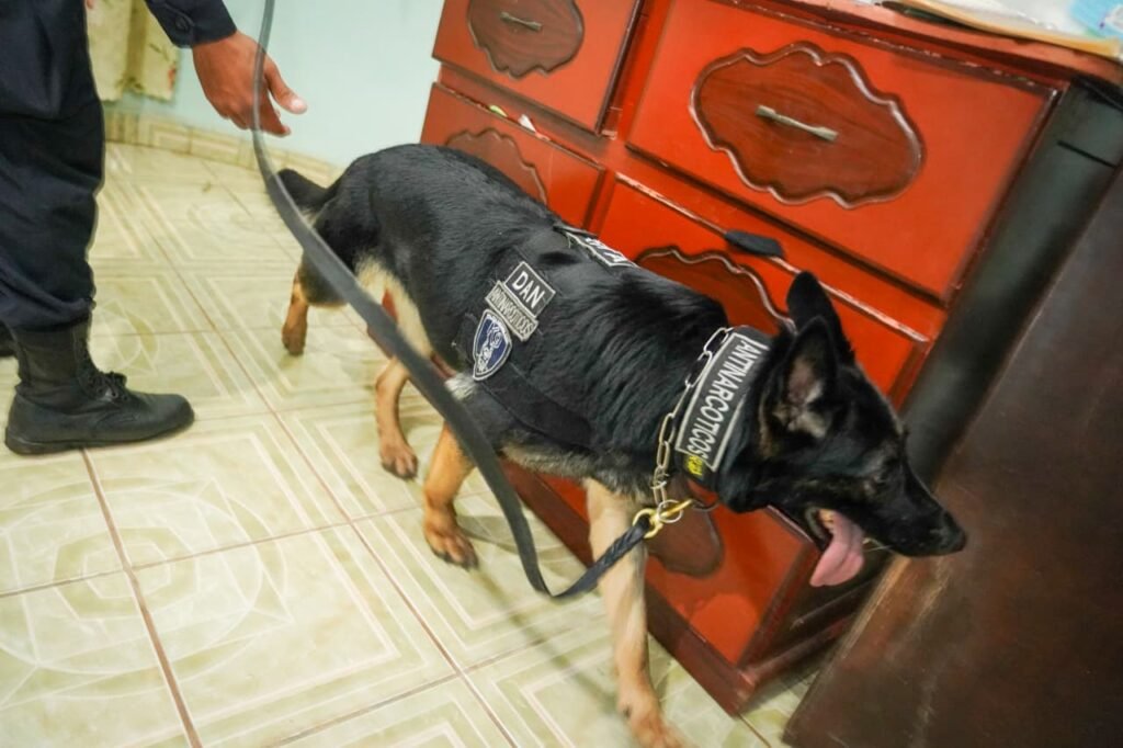 559890822 1131477025829831 1670240068300874866 n