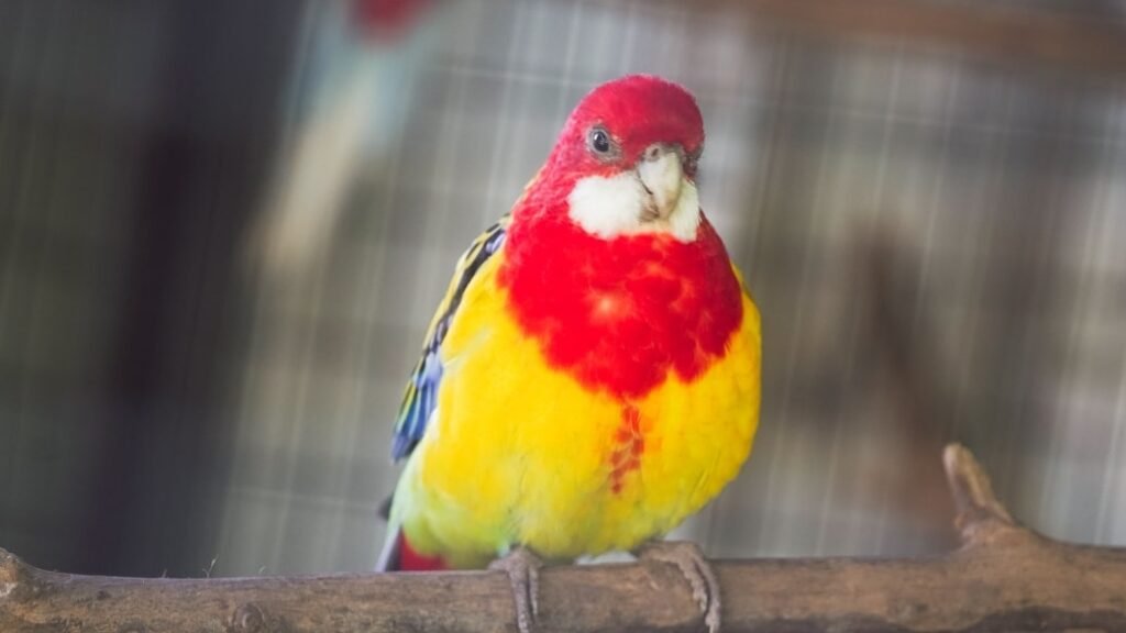 561128217 1131693285808205 8973250186510577882 n