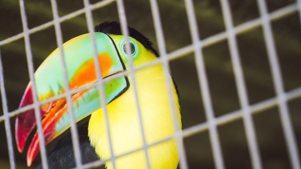 561239852 1131693105808223 3854502313692342994 n