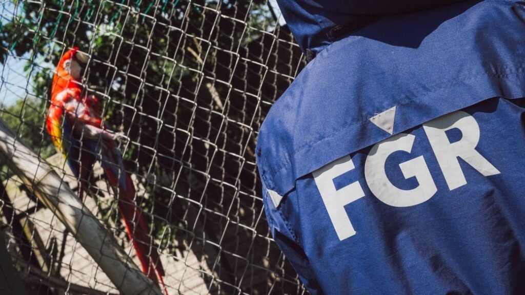 561306172 1131693062474894 5430264524138467757 n