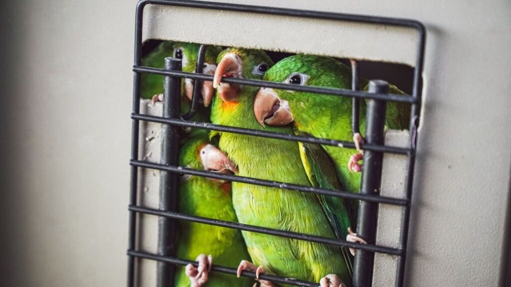 561378341 1131693262474874 184967055085993189 n