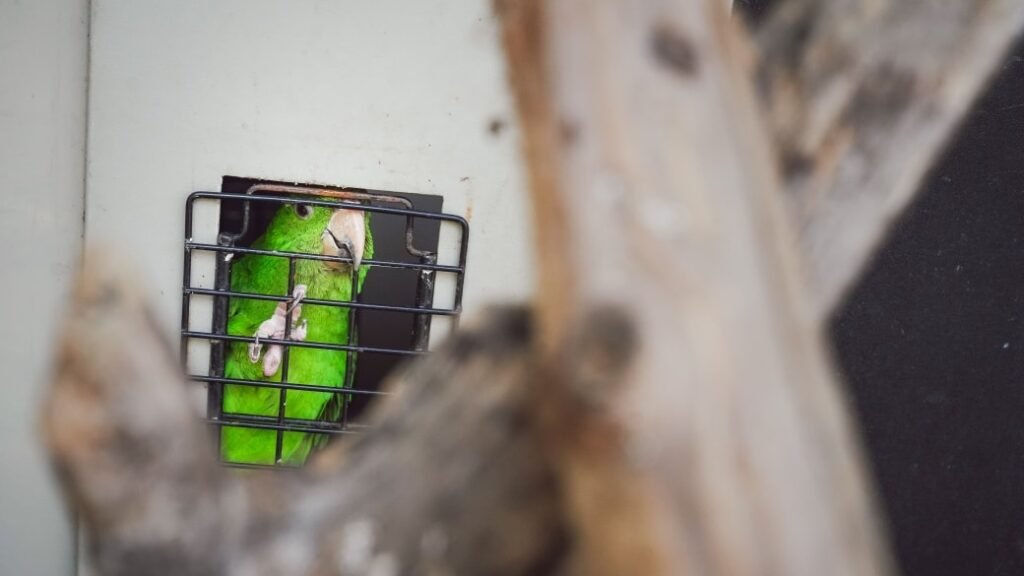 561427306 1131693412474859 3113244595218279331 n