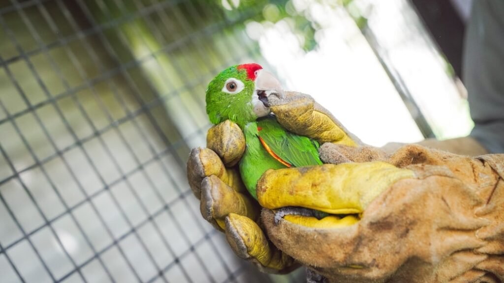 563452602 1131693212474879 23133483434410697 n