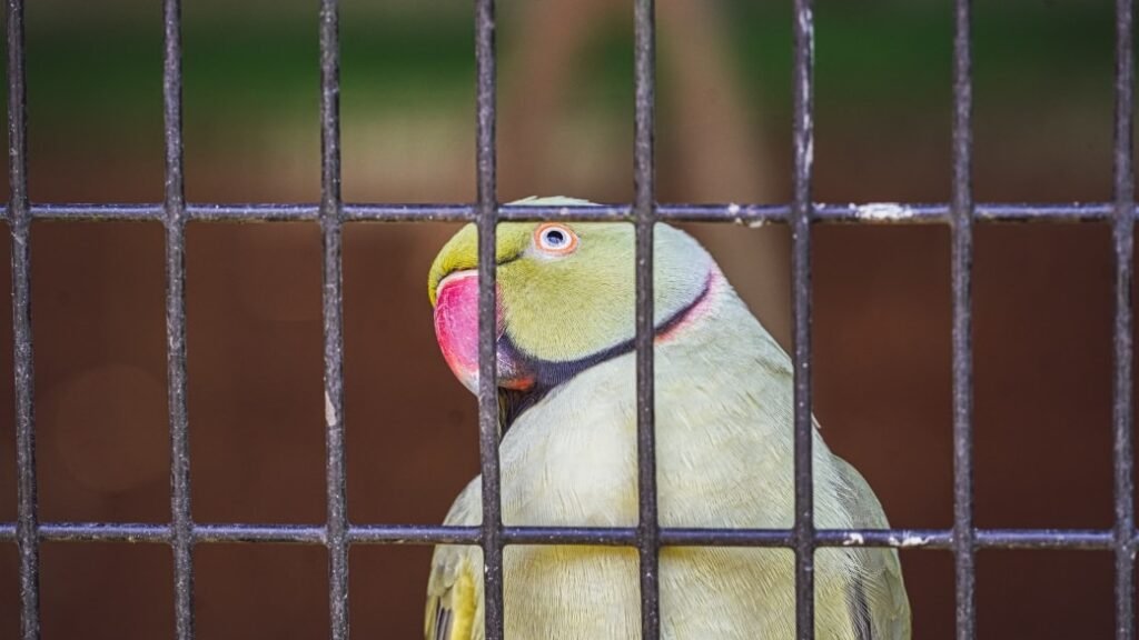 563982885 1131693342474866 8879860941355463756 n