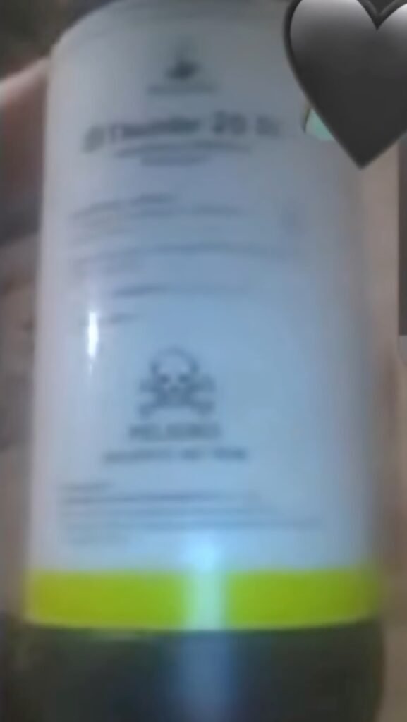 564605556 1401366138659051 1680013443184067851 n