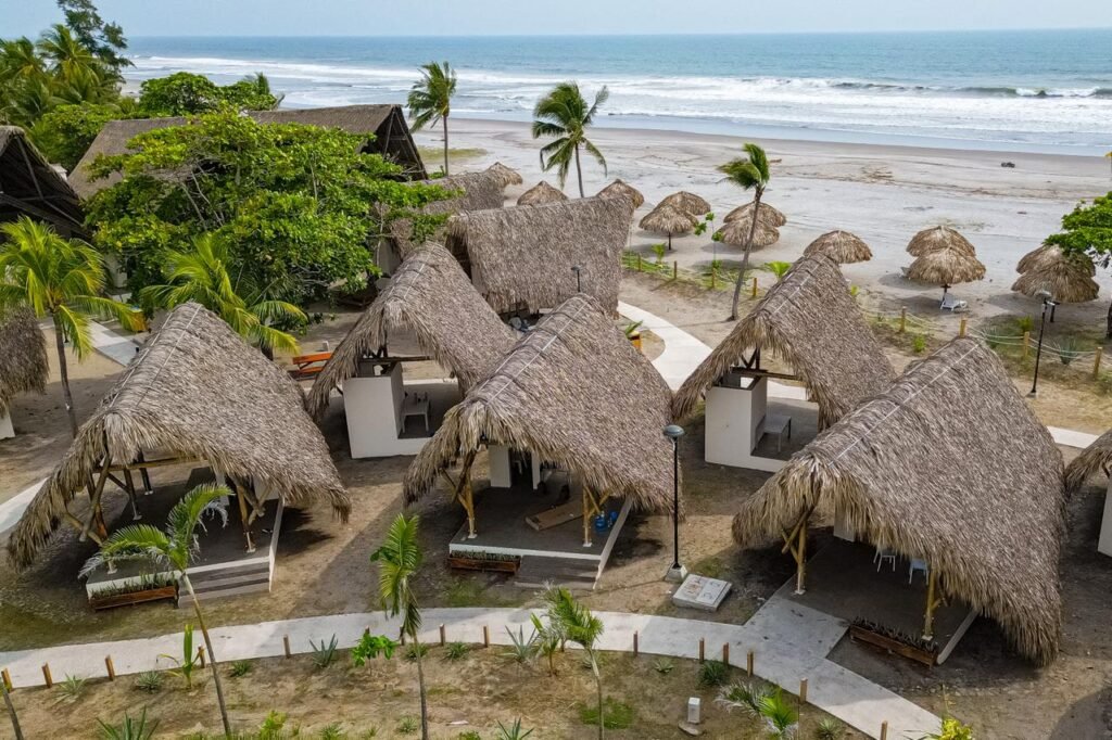 571213399 1187101720260753 7246778581619304601 n