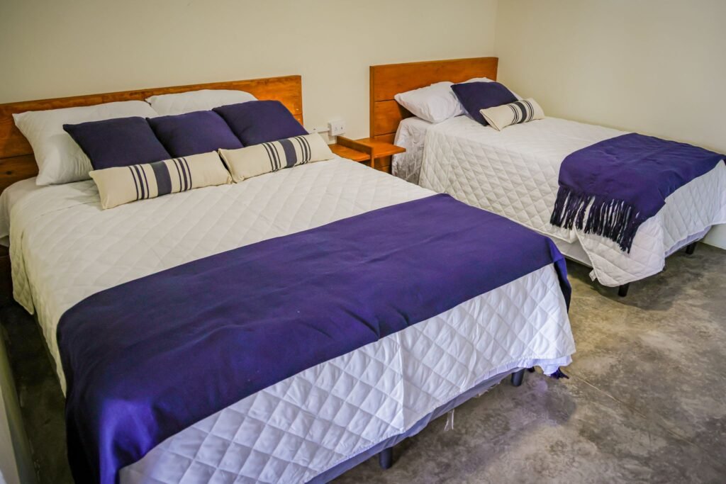 571289079 1187226306914961 6517776323834425546 n