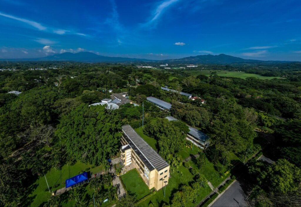 571337112 1187061793598079 1654022783916964098 n