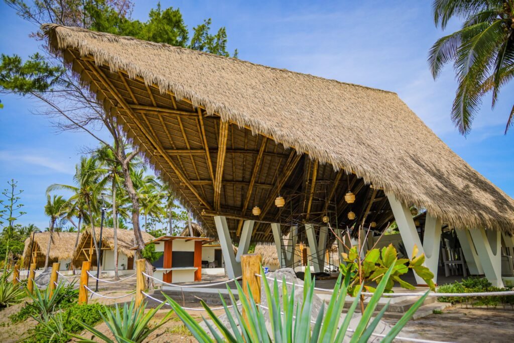 572788489 1187210640249861 4350118392663916069 n