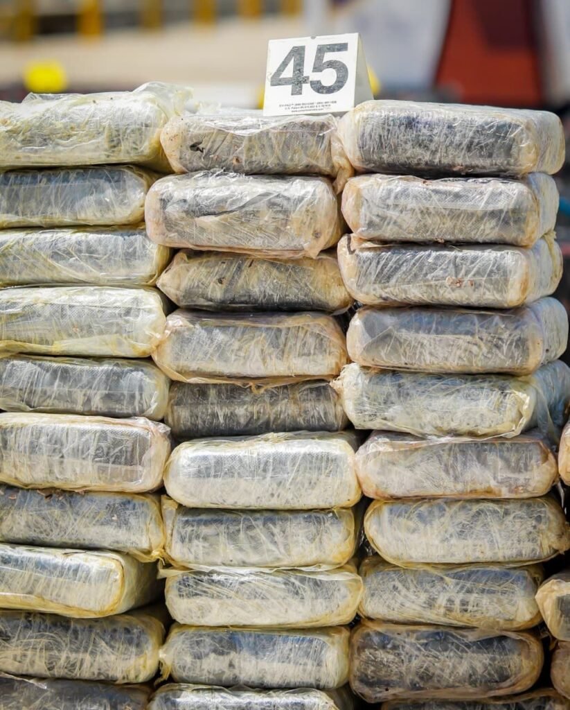 WhatsApp Image 2025 10 15 at 5.13.43 PM