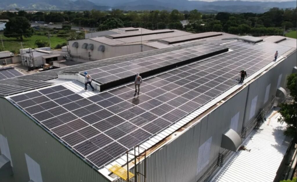 Tres empresas energéticas unen esfuerzos y crean “Trinergy” tras la nueva Ley de Fomento para el Uso de Energía Renovable 1 img 5296