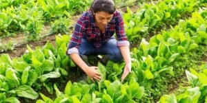 1674112a 75ec 473c b693 4a8e13ce7fa7 4265 000002b8d6e0239e file