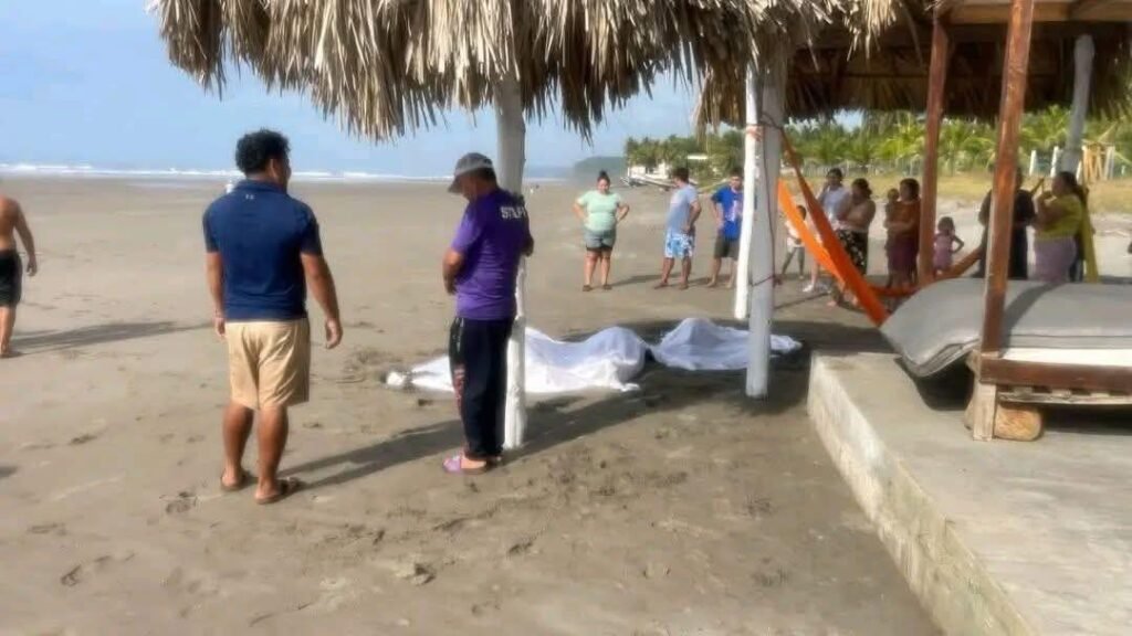 594072645 1188044876871850 3322660248199866408 n