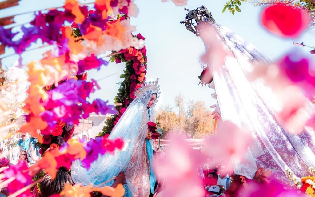 599557535 1175970264648961 6210530067537086814 n