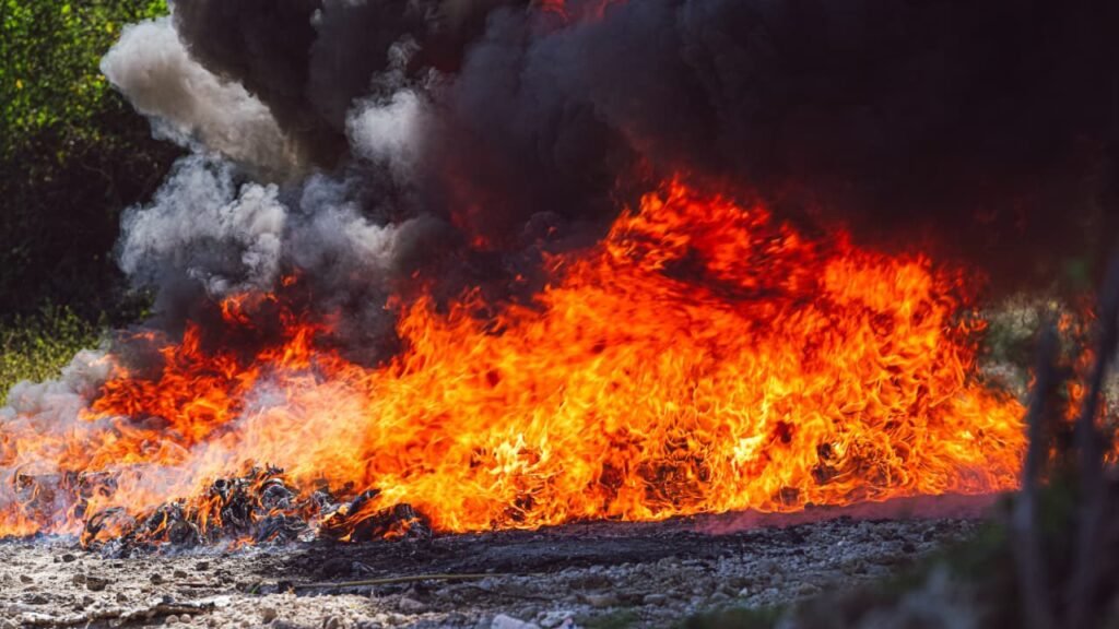 614220669 1196664536005307 5778865304369998256 n