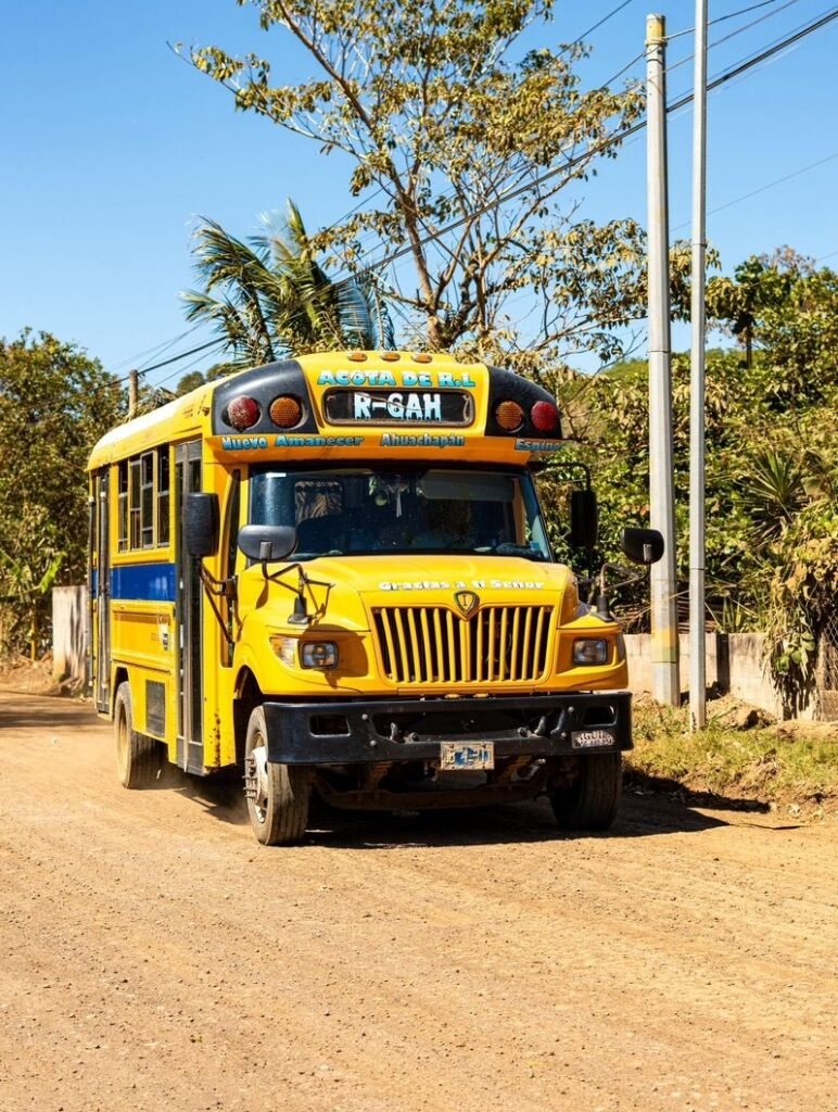 616093103 122301781646226820 1518344782408066189 n