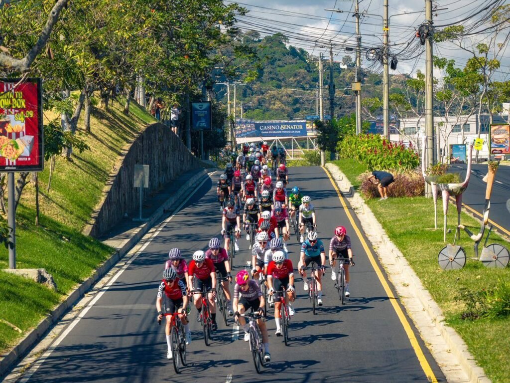 618475449 1356861503144782 2145417121238827066 n