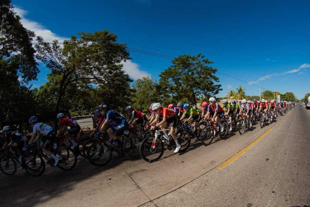 619662531 1359558406208425 6651339226223454698 n