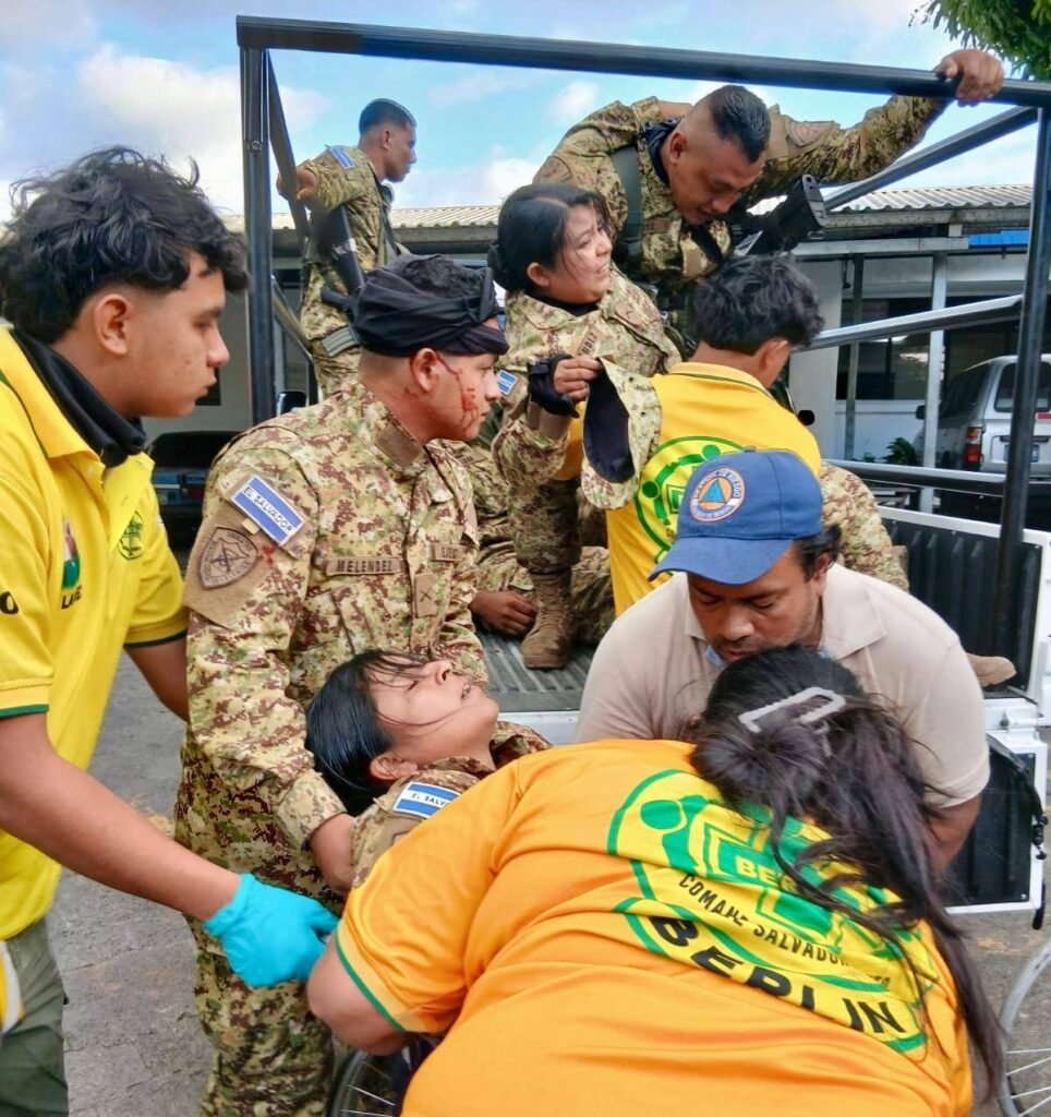 619866574 122142129932416789 8505623058722749102 n