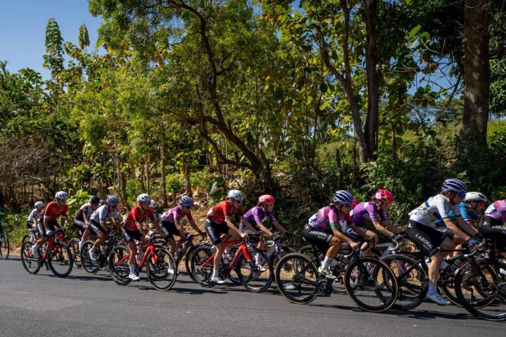 619965558 1355877456576520 3731493390437675931 n 1