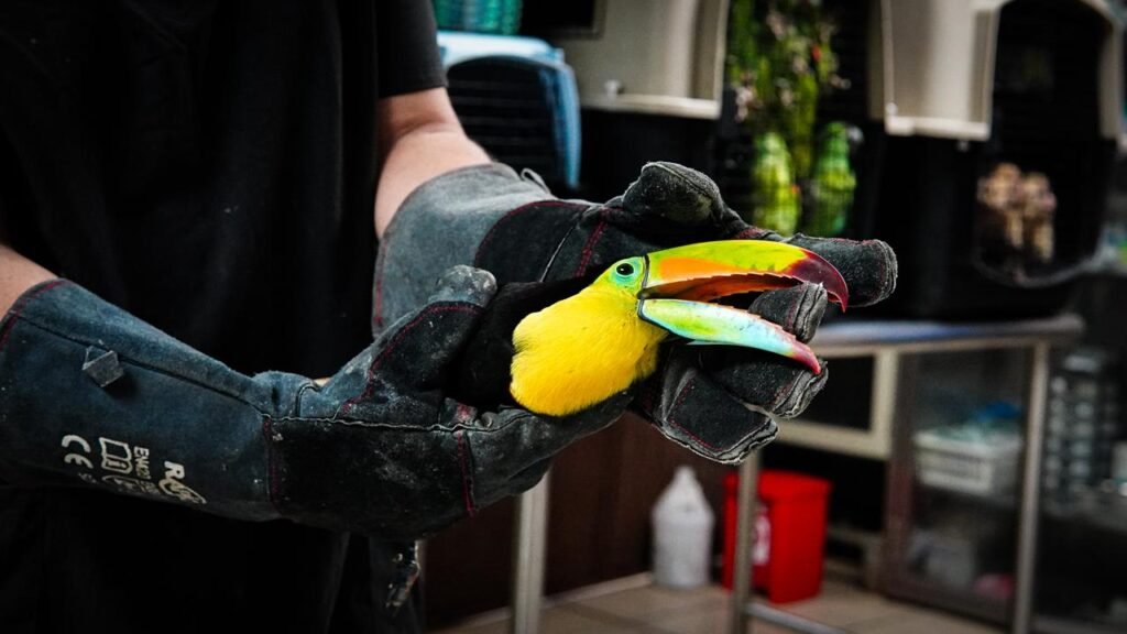 621877455 1375931794545095 8174693482775152626 n 1