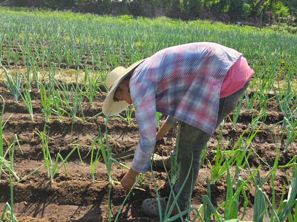 621960590 122142020006416789 9223141500706050171 n