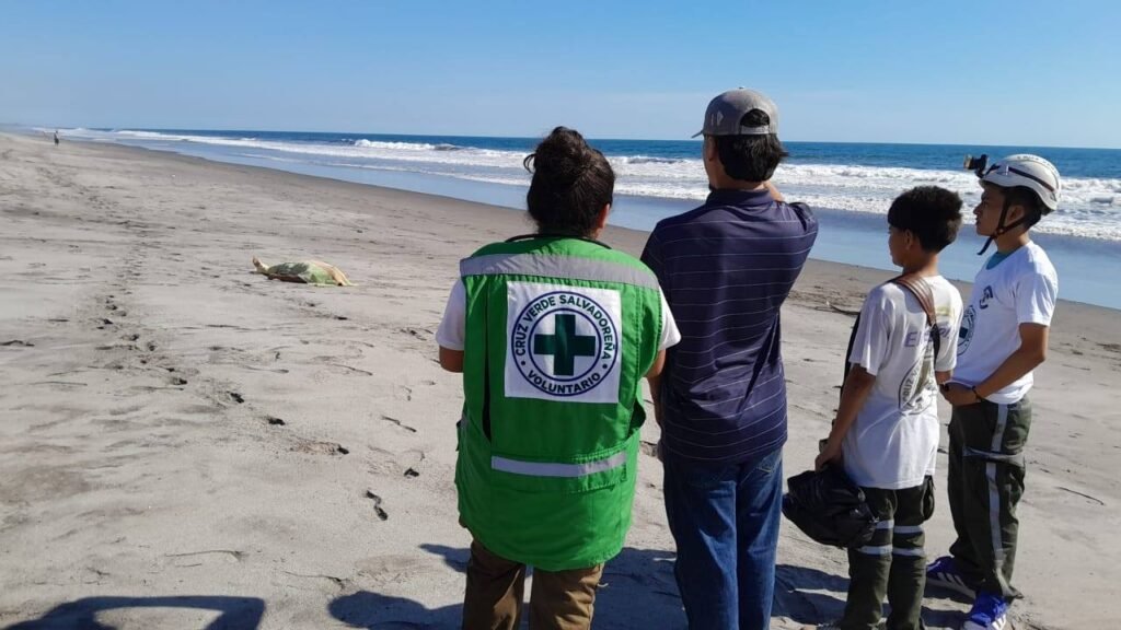 622000232 1314858434012301 4820533343444550016 n