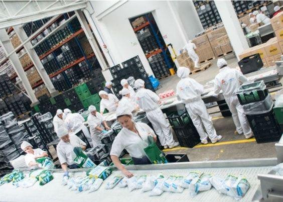 622211674 1458770356250274 3194929501067647896 n