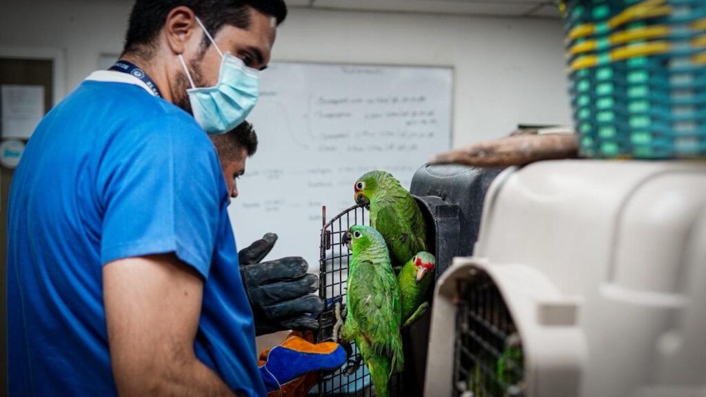 622288965 1324414703049179 3529113725176419348 n