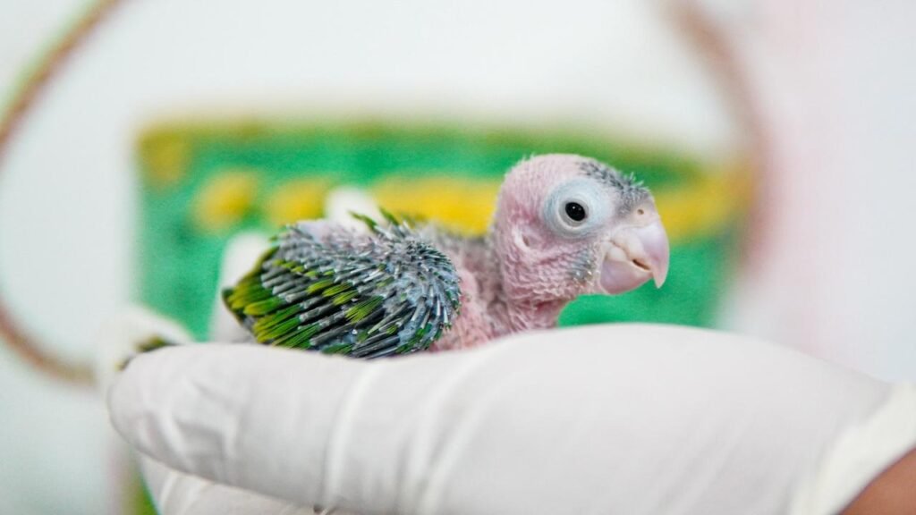 622347016 1375931781211763 4319165814987883431 n