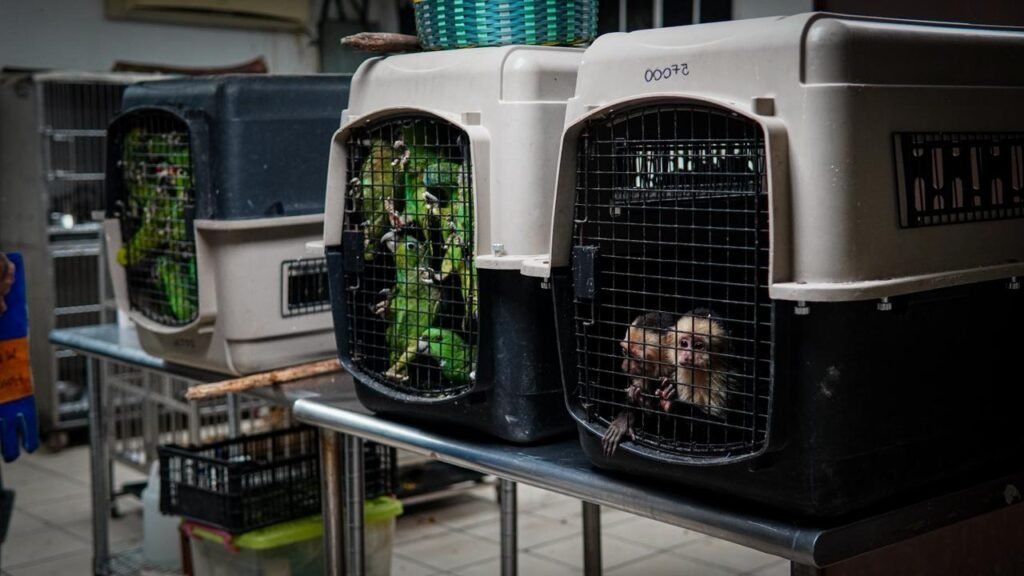 622368732 1375931787878429 434259994711501645 n