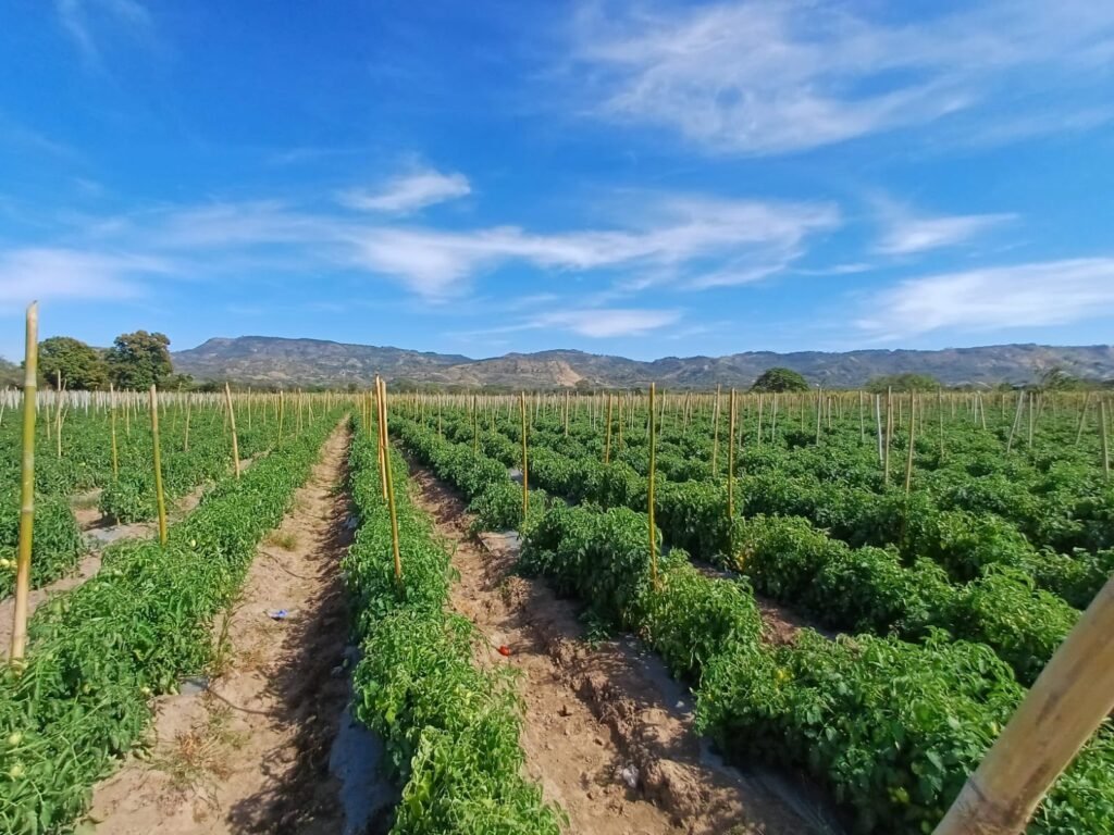 622751093 122142020144416789 8138050730222700838 n