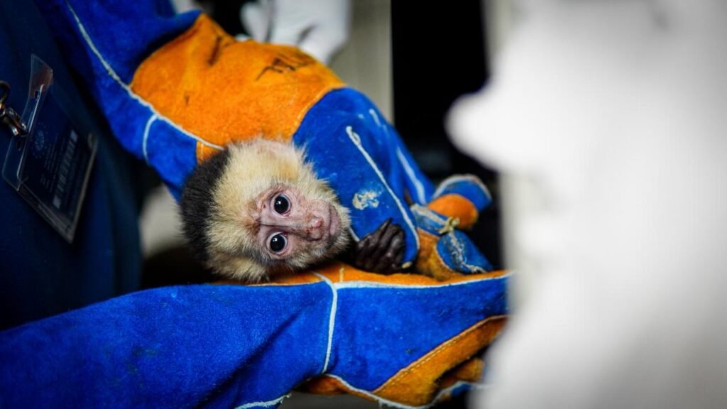 623248534 1375931791211762 2103378968541344760 n 1