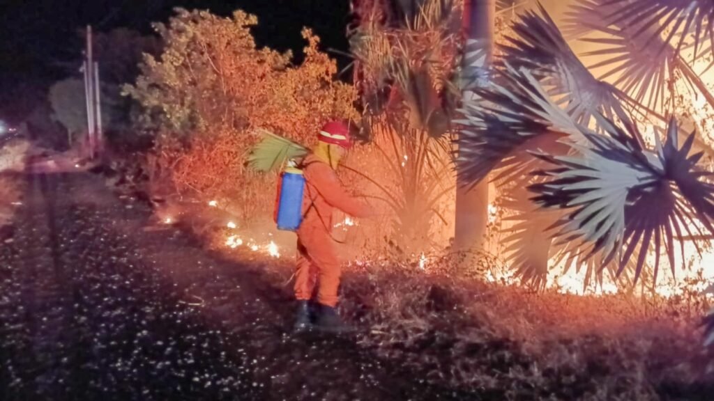 Incendios en El Salvador aumentan un 52 % en enero según emergencias atendidas por Protección Civil. 5 dfsdfds