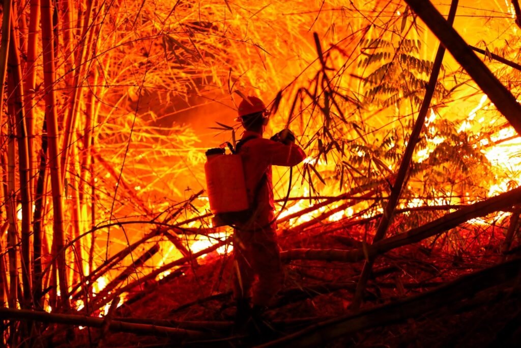 Incendios en El Salvador aumentan un 52 % en enero según emergencias atendidas por Protección Civil. 3 dsffdf