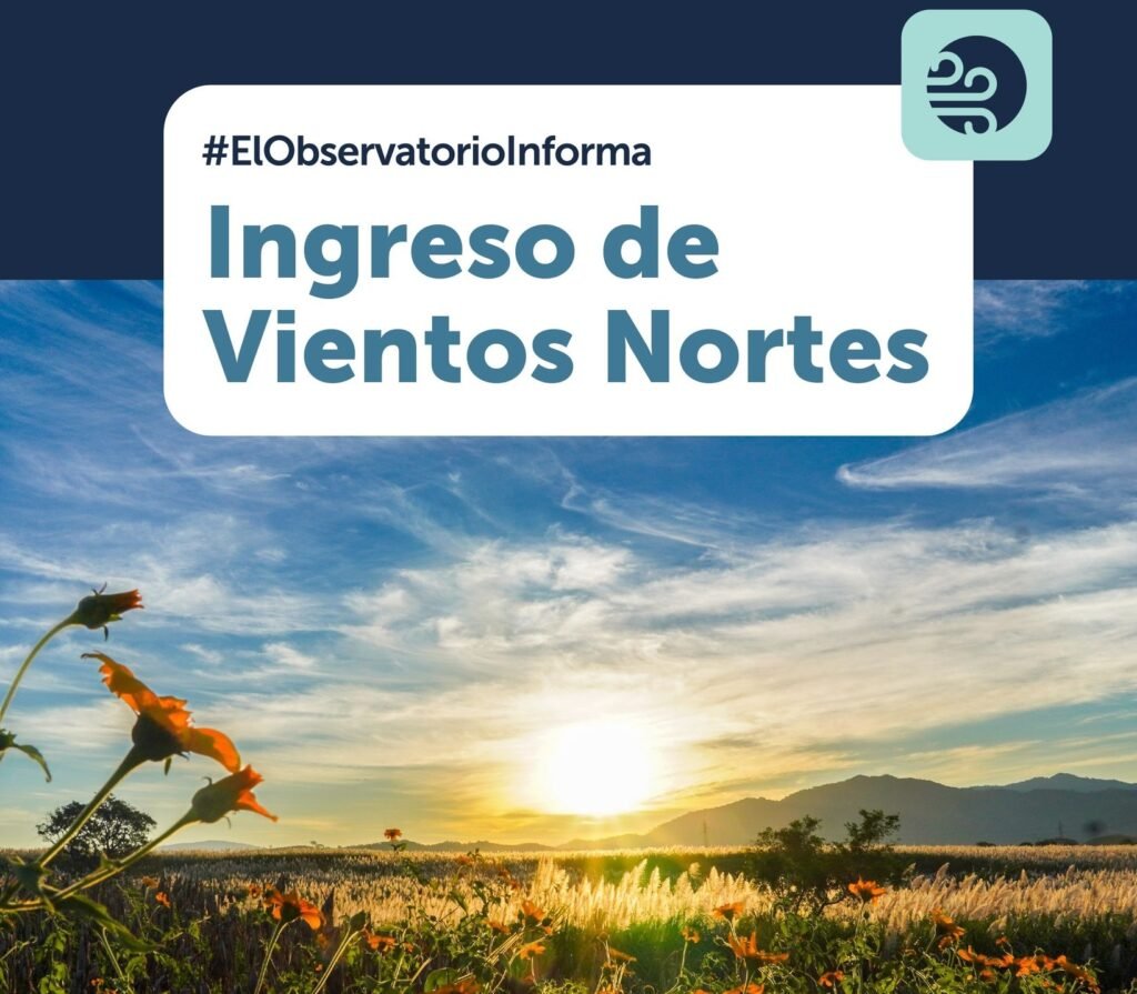 Alerta por Vientos Nortes: Ráfagas alcanzarán hasta 80 km/h este domingo. 2 dsgfsfsd