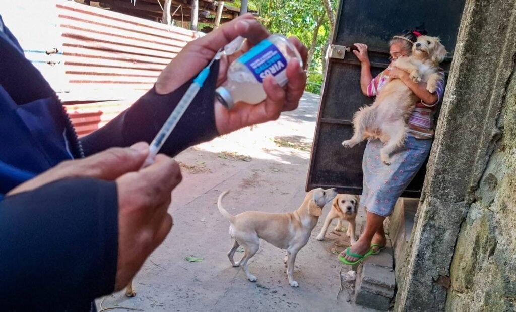 625203682 877583871733859 5409386421731795817 n